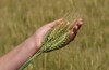 We care about your crop! We care about your crop!