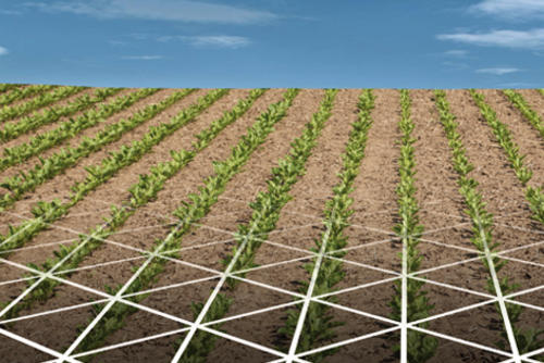 GEOseed feld GEOseed feld