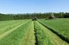 Airy Box-Shaped Swath Airy Box-Shaped Swath