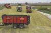 Silage or maize Silage or maize