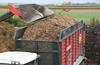 wood chips wood chips