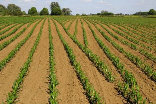 GEOCONTROL Field 500x334