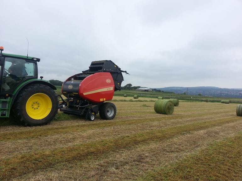 a samsung phone photos 075